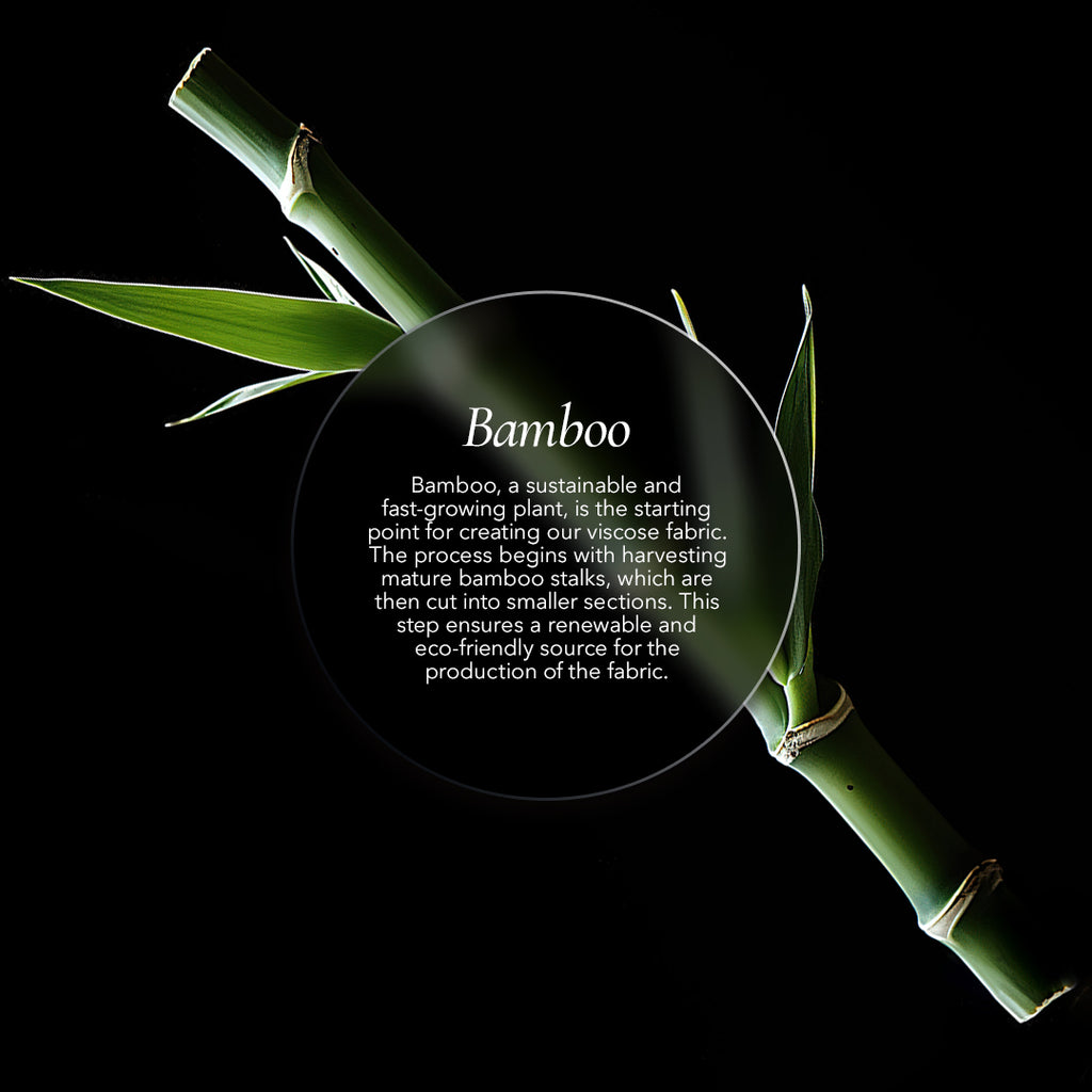 1_Bamboo.jpg